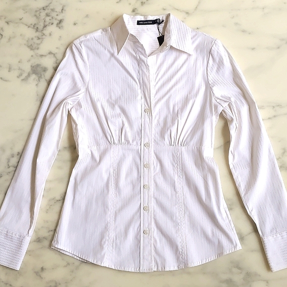 NWT. The Limited Cotton Rayon Spandex Dress Shirt w/gold stripes & waist design. - Picture 3 of 6